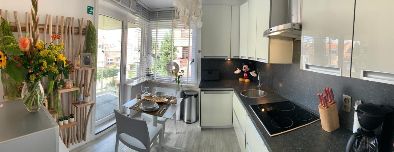 Top Appartement Met Garage "Au Franelle" Οστένδη Εξωτερικό φωτογραφία